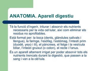 ANATOMIA. Aparell digestiu Té la funció d’ingerir, triturar i absorvir els nutrients necessaris per la vida cel·lular, així com eliminar els residus no aprofitables. Està format per: la boca (dents, glàndules salivals i llengua), la faringe, l’esòfag, l’estómag, l’intestí prim (duodé, yeyú i ili), el pàncrees, el fetge i la vesícula biliar, l’intestí gruixut (o colon), el recte i l’anus. És un aparell altament irrigat per poder absorvir tots els nutrients trencats durant la digestió, que passen a la sang i van a la cèl·lula. 