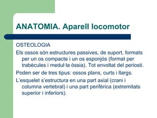 ANATOMIA. Aparell locomotor OSTEOLOGIA Els ossos són estructures passives, de suport, formats per un os compacte i un os esponjós (format per trabècules i medul·la òssia). Tot envoltat del periosti.  Poden ser de tres tipus: ossos plans, curts i llargs.  L’esquelet s’estructura en una part axial (crani i columna vertebral) i una part perifèrica (extremitats superior i inferiors). 