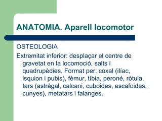 ANATOMIA. Aparell locomotor OSTEOLOGIA Extremitat inferior: desplaçar el centre de gravetat en la locomoció, salts i quadrupèdies. Format per: coxal (ilíac, isquion i pubis), fèmur, tíbia, peroné, ròtula, tars (astràgal, calcani, cuboides, escafoides, cunyes), metatars i falanges. 