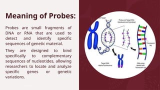 Probe Texts Primers and Probes agriculture - Copy.pptx