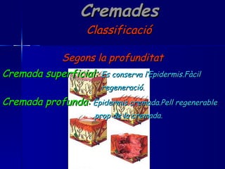 Cremades Classificació Segons la profunditat Cremada superficial:   Es conserva l’Epidermis.Fàcil regeneració. Cremada profunda:   Epidermis cremada.Pell regenerable prop de la cremada. 