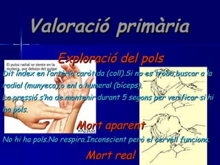 Valoració primària Exploració del pols Dit índex en l’artèria caròtida (coll).Si no es troba,buscar a la  radial (munyeca),o enl a humeral (bíceps). La pressió s’ha de mantenir durant 5 segons per verificar si hi ha pols. Mort aparent No hi ha pols.No respira.Inconscient però el cervell funciona. Mort real El mateix,però el cervell no funciona. 