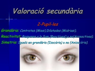 Valoració secundària 2-Pupil-les Grandària:   Contretes (Miosi).Dilatades (Midriasi). Reactivitat:   Responen a la llum (Reactives),o no(Arreactives). Simetria:   Iguals en grandària (Isocòria) o no (Anisocòria). 