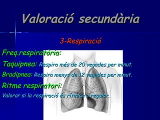 Valoració secundària 3-Respiració Freq.respiratòria: Taquipnea:   Respira més de 20 vegades per minut. Bradipnea:   Respira menys de 12 vegades per minut. Ritme respiratori: Valorar si la respiració és rítmica o regular. 