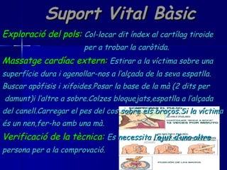 Suport Vital Bàsic Exploració del pols:   Col-locar dit índex al cartílag tiroide  per a trobar la caròtida. Massatge cardíac extern:   Estirar a la víctima sobre una superfície dura i agenollar-nos a l’alçada de la seva espatlla. Buscar apòfisis i xifoides.Posar la base de la mà (2 dits per damunt)i l’altre a sobre.Colzes bloquejats,espatlla a l’alçada  del canell.Carregar el pes del cos sobre els braços.Si la víctima és un nen,fer-ho amb una mà. Verificació de la tècnica:   Es necessita l’ajut d’una altre  persona per a la comprovació. 