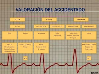 VALORACIÓN DEL ACCIDENTADO
SE N T IR

HABLAR

PU LSO

O B SE R V A R

C O N SC IEN C IA

TR A N Q U ILIZA R

H EM O R R A G IA

R ESPIR A C IÓ N

D olor
Sensibilidad

Presión directa
Elevar la extremidad
Torniquete

A usente

D ébil

A usente

Inconsciente

SH O C K
Elevar las piernas
C ubrir al enfermo
Elim inar las causas

PA R O C A R D ÍA C O
M asaje

Pupilas
Pensar en lesión
de colum na

RC P

PA R O R ESIR A TO R IO
D espejar vías
B oca a boca

RC P

 