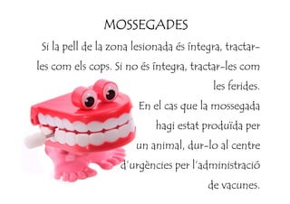 MOSSEGADESMOSSEGADESMOSSEGADESMOSSEGADES
Si la pell de la zona lesionada és íntegra, tractar-
les com els cops. Si no és íntegra, tractar-les com
les ferides.
En el cas que la mossegadaEn el cas que la mossegada
hagi estat produïda per
un animal, dur-lo al centre
d’urgències per l’administració
de vacunes.
 