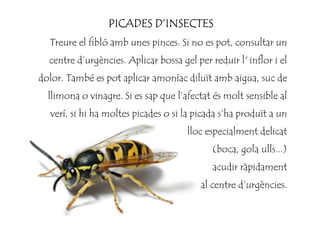 PICADES DPICADES DPICADES DPICADES D’’’’INSECTESINSECTESINSECTESINSECTES
Treure el fibló amb unes pinces. Si no es pot, consultar un
centre d’urgències. Aplicar bossa gel per reduir l' inflor i el
dolor. També es pot aplicar amoníac diluït amb aigua, suc de
llimona o vinagre. Si es sap que l’afectat és molt sensible al
verí, si hi ha moltes picades o si la picada s’ha produït a unverí, si hi ha moltes picades o si la picada s’ha produït a un
lloc especialment delicat
(boca, gola ulls...)
acudir ràpidament
al centre d’urgències.
 