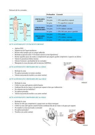 Valoració de les cremades:
Profunditat Extensió
CREMADES
LLEUS
1er grau
2on grau < 10% superfície corporal
3er grau < 2% superfície corporal
CREMADES
MODERADES
2on grau 10-25% adults
2on grau 5-15% infants i ancians
3er grau < 10% NO cara, peus o genitals
CREMADES
GREUS
2on grau > 25% adults
2on grau > 15% infants i ancians
3er grau > 10% o cara, peus o genitals
ACTUACIÓ DAVANT UN PACIENT CREMAT
– Aplicar PAS
– Separar-nos de l'agent productor
– Retirar roba (sempre que no estigui adherida
– Refredar el pacient entre 5-10 minuts màxim (evitar hipotèrmia)
– Retirar aquelles peces de reoba o complements que puguin quedar comprimits si apareix un edema
– Valorar la presència d'altres lesions
– Valorar l'extensió i profunditat de les cremades
– Manipular la zona afectada amb la màxima ASÈPSIA
ACTUACIÓ DAVANT CREMADES DE 1er GRAU
– Refredar la zona
– No aplicar pomades ni remeis casolans
– Valorar necessitat de trasllat a un centre sanitari
ACTUACIÓ DAVANT CREMADES DE 2on GRAU
– Refredar la zona
– Cobrir la zona amb apòsits estèrils humits
– Embenar dits de les mans o els peus per separat evitar que s'adhereixin
– No rebentar mai les butllofes!!
– No aplicar pomades
– Valorar necessitat de trasllat a un centre sanitari
ACTUACIÓ DAVANT CREMADES DE 3er GRAU
– Refredar la zona
– Retirar la roba que comprimeixi o pugui tenir un efecte torniquet
– Cobrir la zona amb apòsits estèrils humits (embenar dits de les mans o els peus per separat
– No retallar la zona necrosada o cremada!
– No aplicar pomades!
– Trasllat a un centre sanitari
 