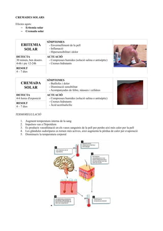 CREMADES SOLARS
Efectes aguts:
– Eritemia solar
– Cremada solar
ERITEMIA
SOLAR
SÍMPTOMES
- Envermelliment de la pell
- Inflamació
- Hipersensibilitat i dolor
DETECTA
30 minuts, ben desenv.
4-6h i pic 12-24h
ACTUACIÓ
- Compresses humides (solució salina o antisèptic)
- Cremes hidratants
RESOLT
4 – 7 dies
CREMADA
SOLAR
SÍMPTOMES
- Butllofes i dolor
- Disminució sensibilitat
- Acompanyades de febre, nàusees i cefalees
DETECTA
4-6 hores d'exposició
ACTUACIÓ
- Compresses humides (solució salina o antisèptic)
- Cremes hidratants
- Àcid acetilsalicílic
RESOLT
4 – 7 dies
TERMOREGULACIÓ
1. Augment temperatura interna de la sang
2. Impulsos van a l'hipotàlem
3. Es produeix vasodilatació en els vasos sanguinis de la pell per perdre així més calor per la pell
4. Les glàndules sudorípares es tornen més actives, això augmenta la pèrdua de calor per evaporació
5. Disminueix la temperatura corporal
 
