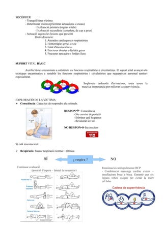 SOCÓRRER
- Tranquil·litzar víctima
- Determinar lesions (prioritzar actuacions si escau)
· Exploració primària (signes vitals)
· Exploració secundària (completa, de cap a peus)
- Actuació segons les lesions que presenti
Ordre d'atenció:
1. Aturades cardíaques o respiratòries
2. Hemorràgies greus o xoc
3. Estat d'inconsciència
4. Fractures obertes o ferides greus
5. Fractures tancades o ferides lleus
SUPORT VITAL BÀSIC
Auxilis bàsics encaminats a substituir les funcions respiratòries i circulatòries. El suport vital avançat són
tècniques encaminades a restablir les funcions respiratòries i circulatòries que requereixen personal sanitari
especialitzat.
Seqüència ordenada d'actuacions, totes tenen la
mateixa improtància per millorar la supervivència.
EXPLORACIÓ DE LA VÍCTIMA
➢ Consciència: Capacitat de respondre als estímuls.
RESPON Consciència
- No canviar de posició
- Esbrinar què ha passat
- Revalorar sovint
NO RESPON Inconscient
Si està insconscient:
➢ Respiració: buscar respiració normal – rítmica
¿ respira ?SÍ NO
Continuar avaluació
(posició d'espera – lateral de seguretat)
Reanimació cardiopulmonar RCP
- Combinació massatge cardíac extern –
insuflacions boca a boca. Garantir que els
òrgans reben oxígen per evitar la mort
cel·lular.
 