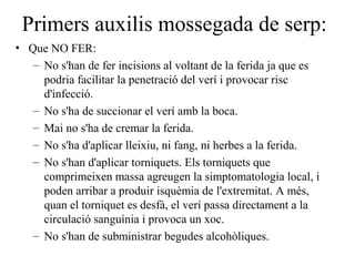 Primers auxilis mossegada de serp:
• Que NO FER:
– No s'han de fer incisions al voltant de la ferida ja que es
podria facilitar la penetració del verí i provocar risc
d'infecció.
– No s'ha de succionar el verí amb la boca.
– Mai no s'ha de cremar la ferida.
– No s'ha d'aplicar lleixiu, ni fang, ni herbes a la ferida.
– No s'han d'aplicar torniquets. Els torniquets que
comprimeixen massa agreugen la simptomatologia local, i
poden arribar a produir isquèmia de l'extremitat. A més,
quan el torniquet es desfà, el verí passa directament a la
circulació sanguínia i provoca un xoc.
– No s'han de subministrar begudes alcohòliques.

 