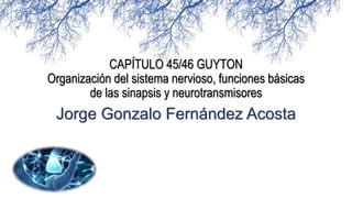 CAPÍTULO 45/46 GUYTON
Organización del sistema nervioso, funciones básicas
de las sinapsis y neurotransmisores
Jorge Gonzalo Fernández Acosta
 