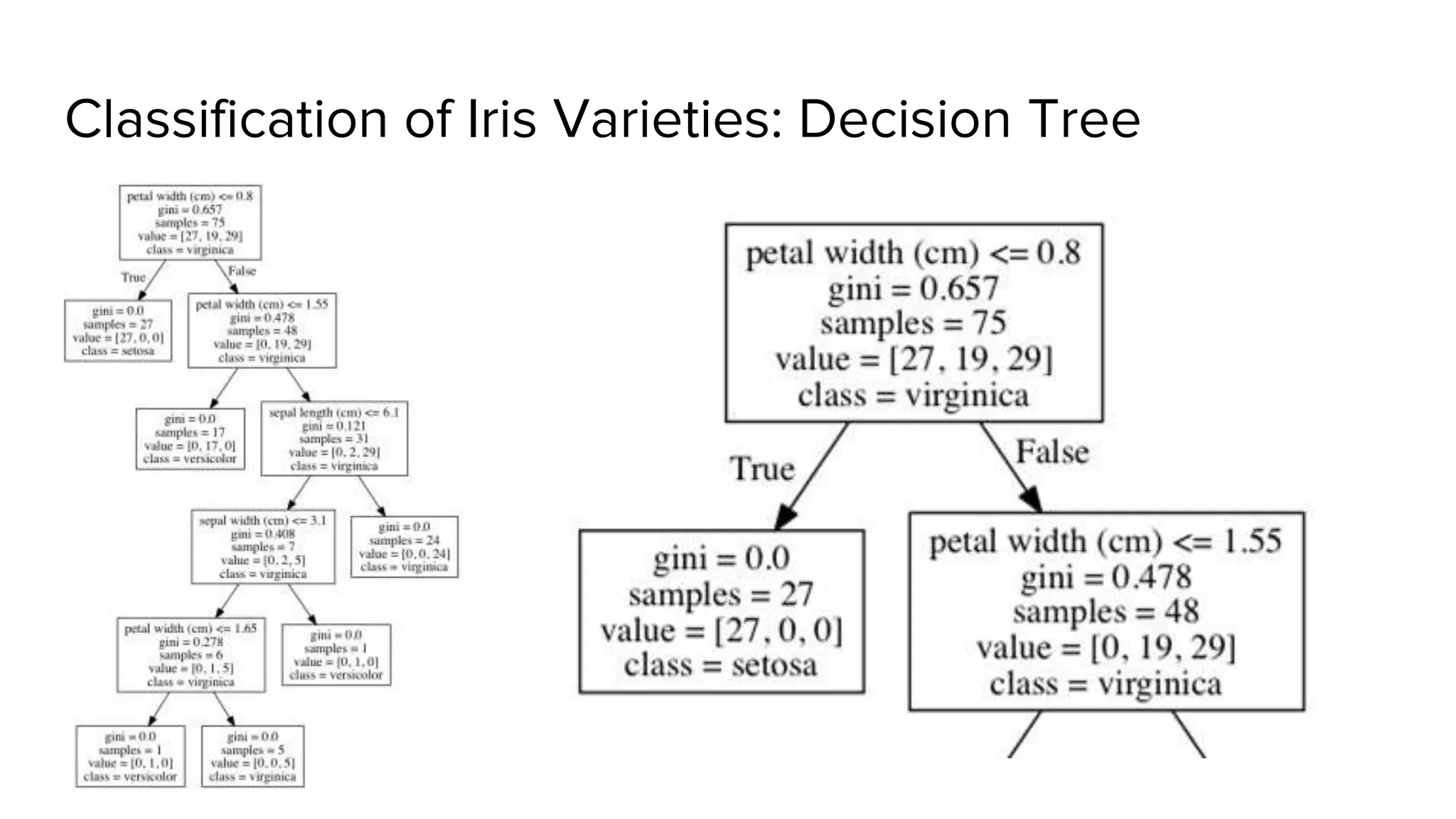 Classification of Iris Varieties: Decision Tree
 