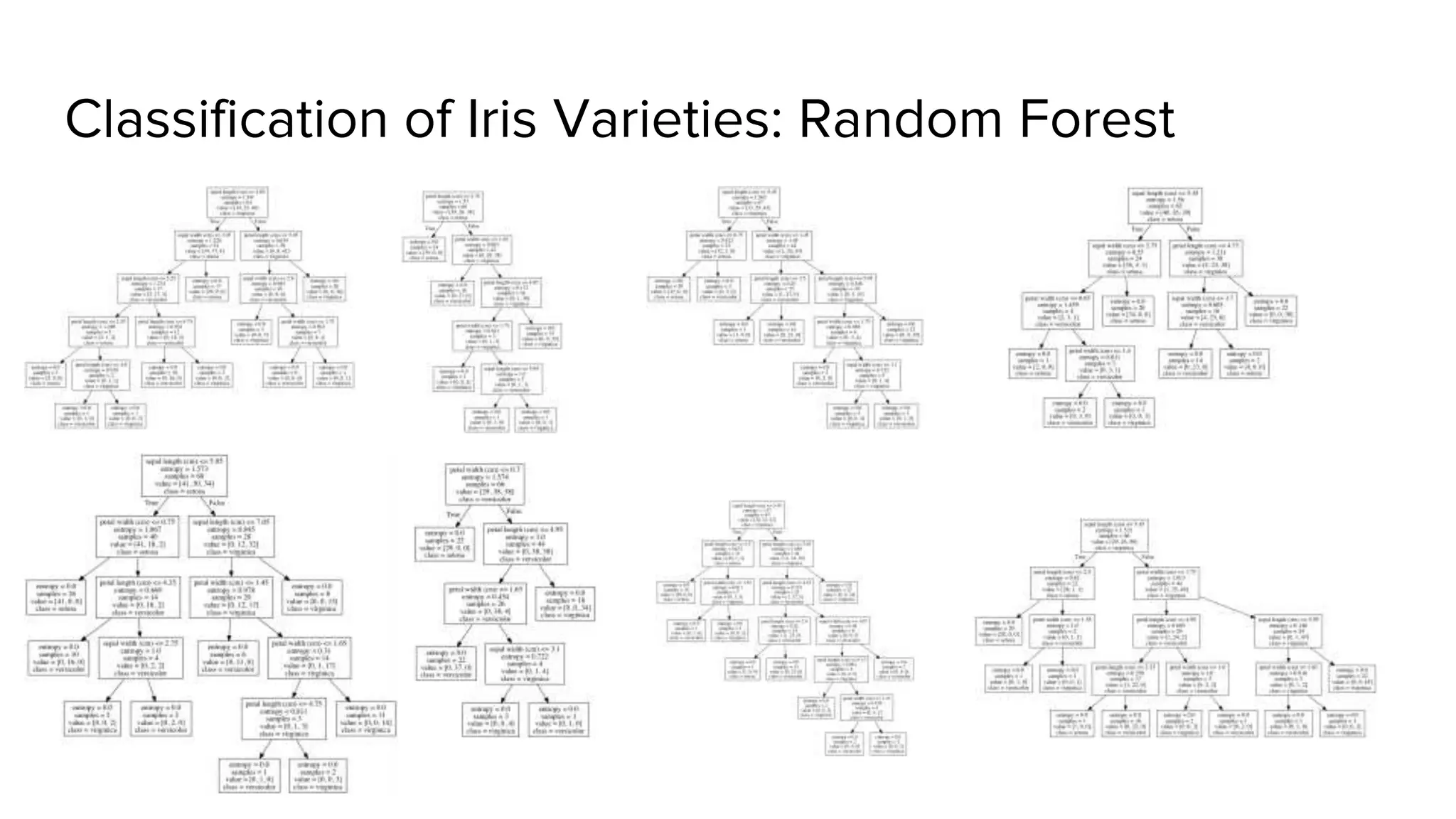 Classification of Iris Varieties: Random Forest
 