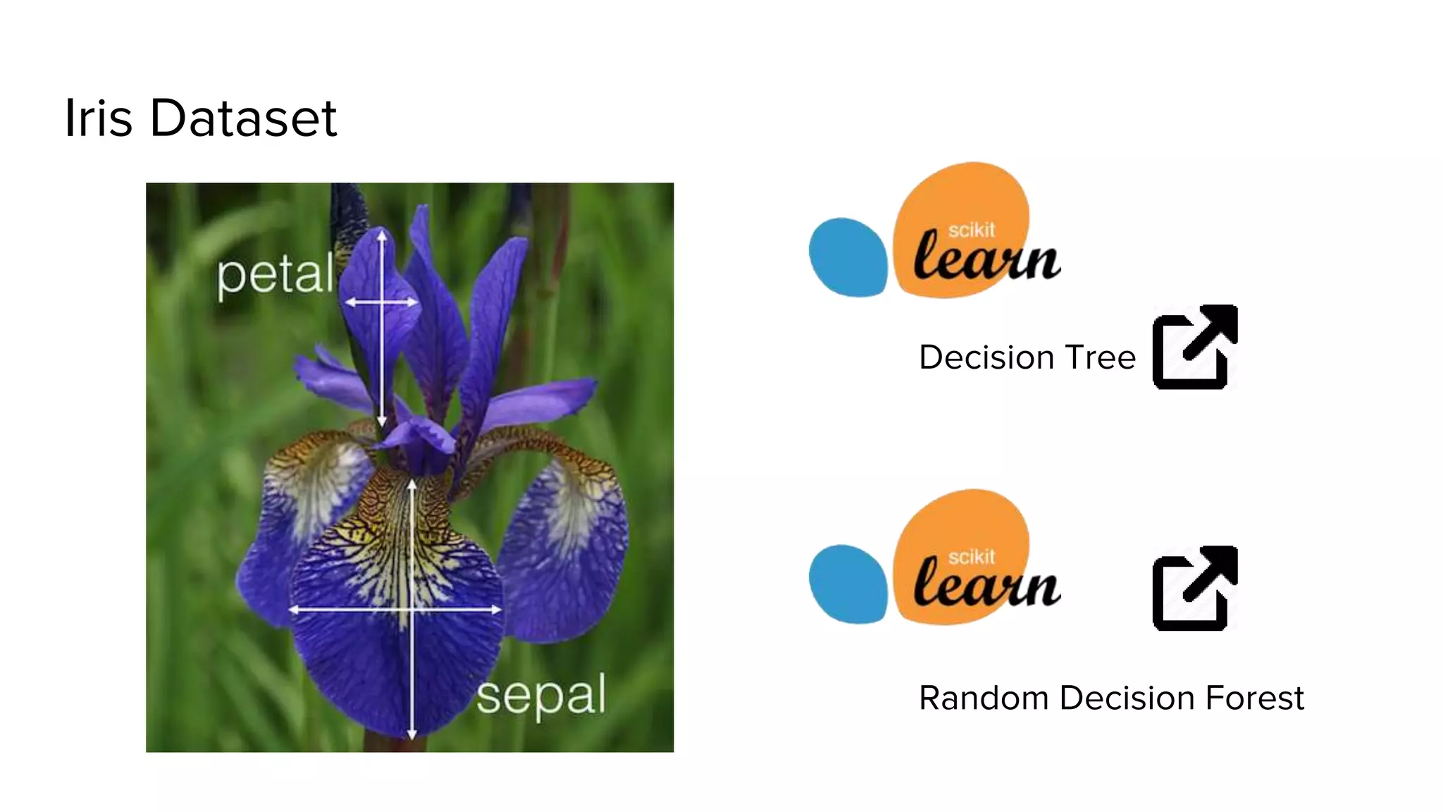 Iris Dataset
Decision Tree
Random Decision Forest
 