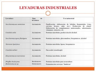 LEVADURAS INDUSTRIALES
 