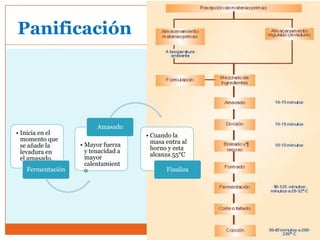 Panificación




                        Amasado
• Inicia en el                      • Cuando la
  momento que                         masa entra al
  se añade la     • Mayor fuerza
                    y tenacidad a     horno y esta
  levadura en                         alcanza 55°C
  el amasado.       mayor
                    calentamient
   Fermentación     o                      Finaliza
 