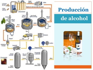 Producción
de alcohol
 