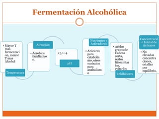 Fermentación Alcohólica


                                                                                Concentració
                                                Nutrientes y                     n Inicial de
                    Aireación                   Activadores                       Azúcares
• Mayor T                                                      • Acidos
  mas                                                            grasos de
  fermentaci                                 • Azúcares                         • No
                • Aerobios      • 3,1- 4.      para              Cadena
  on, menor       facultativo                                    corta,           elevadas
  T mas                                        catabolis                          concentra
                  s.                           mo, otros         restos
  Alcohol                                                        fitosanitar      ciones,
                                        pH     sustratos                          estallan
                                               para              ios,
                                                                 evitarlos        por
                                               anabolism                          equilibrio.
  Temperatura                                  o                  Inhibidores
 