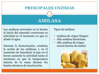 PRINCIPALES ENZIMAS


                           AMILASA
Las amilasas presentes en la harina   Tipos de amilasa:
al inicio del amasado comienzan su
actividad en el momento en que se     • Amilasa de origen fúngico
añade el agua.                        • Alfa-amilasa bacteriana
                                      • Alfa-amilasa de origen
Durante la fermentación, continúa       cereal (harina de malta)
la acción de las amilasas, y en el
momento de introducir el pan en el
horno aumenta la actividad hasta el
momento en que la temperatura
interna de la masa alcanza los
límites térmicos de inactivación.
 