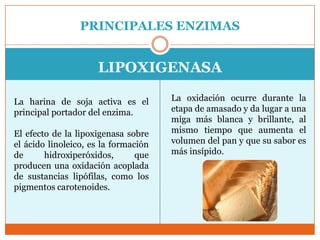 PRINCIPALES ENZIMAS


                     LIPOXIGENASA

La harina de soja activa es el        La oxidación ocurre durante la
principal portador del enzima.        etapa de amasado y da lugar a una
                                      miga más blanca y brillante, al
El efecto de la lipoxigenasa sobre    mismo tiempo que aumenta el
el ácido linoleico, es la formación   volumen del pan y que su sabor es
de      hidroxiperóxidos,       que   más insípido.
producen una oxidación acoplada
de sustancias lipófilas, como los
pigmentos carotenoides.
 