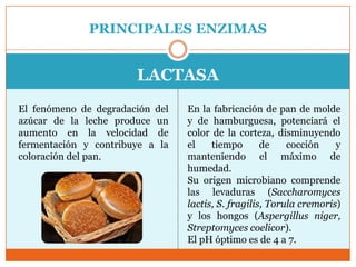 PRINCIPALES ENZIMAS


                       LACTASA
El fenómeno de degradación del   En la fabricación de pan de molde
azúcar de la leche produce un    y de hamburguesa, potenciará el
aumento en la velocidad de       color de la corteza, disminuyendo
fermentación y contribuye a la   el    tiempo       de    cocción    y
coloración del pan.              manteniendo el máximo de
                                 humedad.
                                 Su origen microbiano comprende
                                 las levaduras (Saccharomyces
                                 lactis, S. fragilis, Torula cremoris)
                                 y los hongos (Aspergillus niger,
                                 Streptomyces coelicor).
                                 El pH óptimo es de 4 a 7.
 
