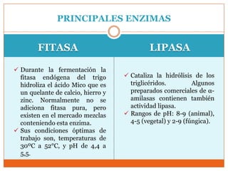 PRINCIPALES ENZIMAS


        FITASA                               LIPASA

 Durante la fermentación la
  fitasa endógena del trigo          Cataliza la hidrólisis de los
  hidroliza el ácido Mico que es      triglicéridos.         Algunos
  un quelante de calcio, hierro y     preparados comerciales de α-
  zinc. Normalmente no se             amilasas contienen también
  adiciona fitasa pura, pero          actividad lipasa.
  existen en el mercado mezclas      Rangos de pH: 8-9 (animal),
  conteniendo esta enzima.            4-5 (vegetal) y 2-9 (fúngica).
 Sus condiciones óptimas de
  trabajo son, temperaturas de
  30ºC a 52°C, y pH de 4,4 a
  5,5.
 