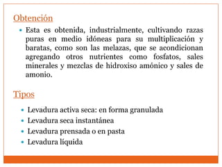 Obtención
  Esta es obtenida, industrialmente, cultivando razas
  puras en medio idóneas para su multiplicación y
  baratas, como son las melazas, que se acondicionan
  agregando otros nutrientes como fosfatos, sales
  minerales y mezclas de hidroxiso amónico y sales de
  amonio.

Tipos
  Levadura activa seca: en forma granulada
  Levadura seca instantánea
  Levadura prensada o en pasta
  Levadura líquida
 