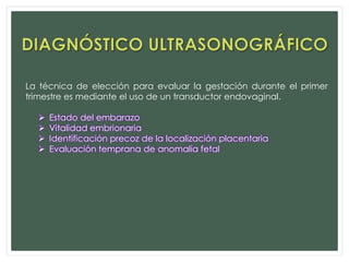 La técnica de elección para evaluar la gestación durante el primer
trimestre es mediante el uso de un transductor endovaginal.
 Estado del embarazo
 Vitalidad embrionaria
 Identificación precoz de la localización placentaria
 Evaluación temprana de anomalía fetal
 