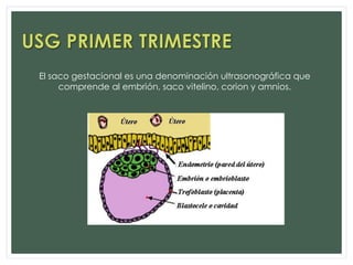 El saco gestacional es una denominación ultrasonográfica que
comprende al embrión, saco vitelino, corion y amnios.
 