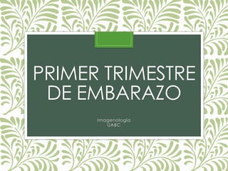 PRIMER TRIMESTRE
DE EMBARAZO
Imagenología
UABC
 