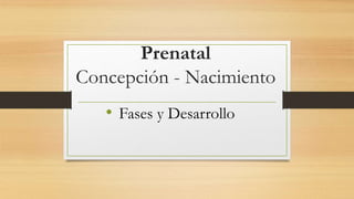 Prenatal
Concepción - Nacimiento
• Fases y Desarrollo
 