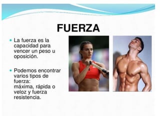 Primer trimestre 2º eso