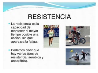 Primer trimestre 2º eso