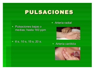 Primer trimestre 2º eso