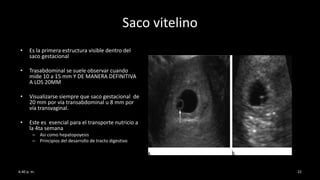 Saco vitelino
• Es la primera estructura visible dentro del
saco gestacional
• Trasabdominal se suele observar cuando
mide 10 a 15 mm Y DE MANERA DEFINITIVA
A LOS 20MM
• Visualizarse siempre que saco gestacional de
20 mm por vía transabdominal u 8 mm por
vía transvaginal.
• Este es esencial para el transporte nutricio a
la 4ta semana
– Asi como hepatopoyesis
– Principios del desarrollo de tracto digestivo
6:40 p. m. 22
 
