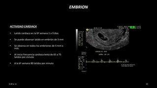ACTIVIDAD CARDIACA
• Latido cardiaco en la 6ª semana 1 a 3 días
• Se puede observar latido en embrión de 3 mm
• Se observa en todos los embriones de 5 mm o
más.
• Al inicio frecuencia cardiaca lenta de 65 a 75
latidos por minuto
• A la 6ª semana 80 latidos por minuto
EMBRION
6:40 p. m. 32
 