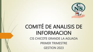 COMITÉ DE ANALISIS DE
INFORMACION
CIS CHICOTE GRANDE LA AGUADA
PRIMER TRIMESTRE
GESTION 2023
 