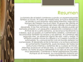Resumen
  La historia de el bebé comienza cuando un espermatozoide
  fertiliza un óvulo. Al cabo de media hora, el huevo fertilizado
          se divide a una enorme velocidad mientras viaja por la
         trompa de Falopio hacia el útero. El grupo de células se
              implanta en la pared del útero donde continuará su
   desarrollo. A las tres semanas, el grupo de células puede ser
llamado embrión y un pequeño corazoncito comienza a latir.
         Al final de la cuarta semana, se reconoce fácilmente la
cabeza, que ya posee un rudimentario cerebro, comienzan a
reconocerse también los brazos y las piernas. Al comienzo del
      segundo mes, se observan signos de ojos, nariz y orejas. El
        embrión puede mover la cabeza y su cuerpo cuando es
          estimulado. Su comunicación con el mundo exterior ha
comenzado. El desarrollo entre la tercera y la octava semana
           es sumamente importante, pues las bases de todas las
           estructuras internas y externas de su cuerpo se inician.
     Mientras avanza en el tercer mes, su corazon late con más
    fuerza. Su rostro es poco detallado y sus ojos se encuentran
         muy separados. Comienza a tener expresiones faciales.
               Aunque ya se mueve, sus movimientos todavía son
                                    imperceptibles para la madre.
 