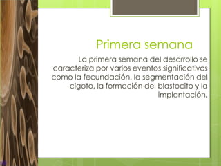 Primera semana
       La primera semana del desarrollo se
caracteriza por varios eventos significativos
como la fecundación, la segmentación del
    cigoto, la formación del blastocito y la
                             implantación.
 