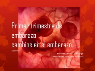 Primer trimestre de
embarazo
cambios en el embarazo…
Autores:
Morones Sánchez Luis Ángel
Padilla Nieto Narayama Miroslava
 