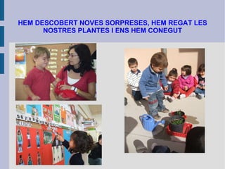 HEM DESCOBERT NOVES SORPRESES, HEM REGAT LES NOSTRES PLANTES I ENS HEM CONEGUT 