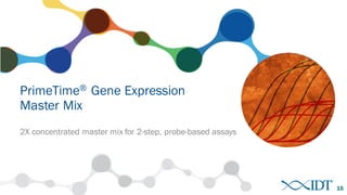 PrimeTime® Gene Expression
Master Mix
2X concentrated master mix for 2-step, probe-based assays
15
 