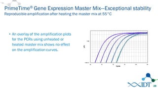 • An overlay of the amplification plots
for the PCRs using unheated or
heated master mix shows no effect
on the amplification curves.
PrimeTime® Gene Expression Master Mix—Exceptional stability
Reproducible amplification after heating the master mix at 55°C
28
 