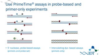 Use PrimeTime® assays in probe-based and
primer-only experiments
4
• 5′ nuclease, probe-based assays
(primers and probe set)
• Intercalating dye–based assays
(primers only)
 