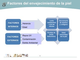 Factores del envejecimiento de la piel FACTORES INTERNOS FACTORES EXTERNOS Herencia Edad Rayos UV Contaminación Estrés Ambiental Lento metabolismo de las células Decremento de elastina y colágeno Perdida de ácido hialurónico Débil inmunidad de la piel 
