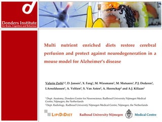 Multi        nutrient           enriched           diets        restore          cerebral
perfusion and protect against neurodegeneration in a
mouse model for Alzheimer’s disease



Valerio Zerbi1,2, D. Jansen1, X. Fang1, M. Wiesmann1, M. Mutsaers1, P.J. Dederen1,
I.Arnoldussen1, A. Veltien2, S. Van Asten2, A. Heerschap2 and A.J. Kiliaan1


1 Dept. Anatomy, Donders Centre for Neuroscience, Radboud University Nijmegen Medical
Centre, Nijmegen, the Netherlands
2 Dept. Radiology, Radboud University Nijmegen Medical Centre, Nijmegen, the Netherlands
 