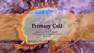 Primary Cell
Instructor: Prof. F. Moore
Presented by: Z. Mokhtarzadeh
May 2013
 