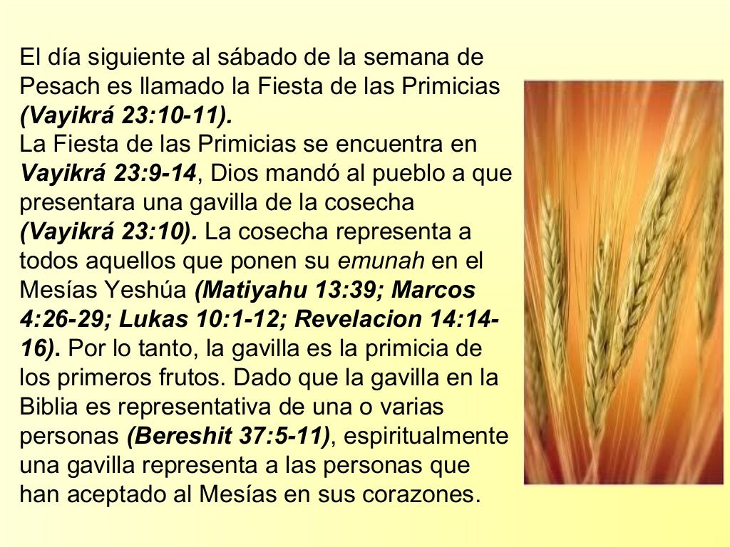 Primicias Primicias